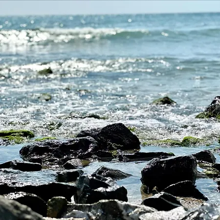 Ipanema - Menada 아파트 *